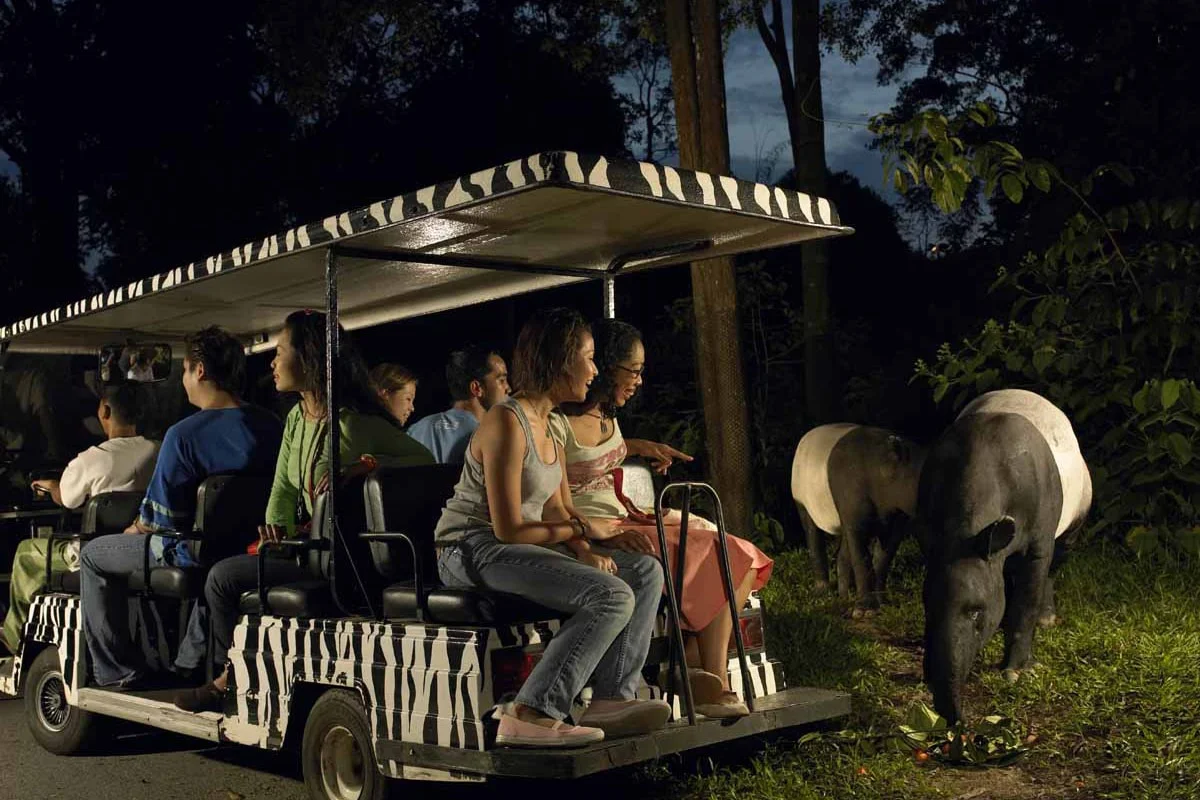 Night Safari Singapore