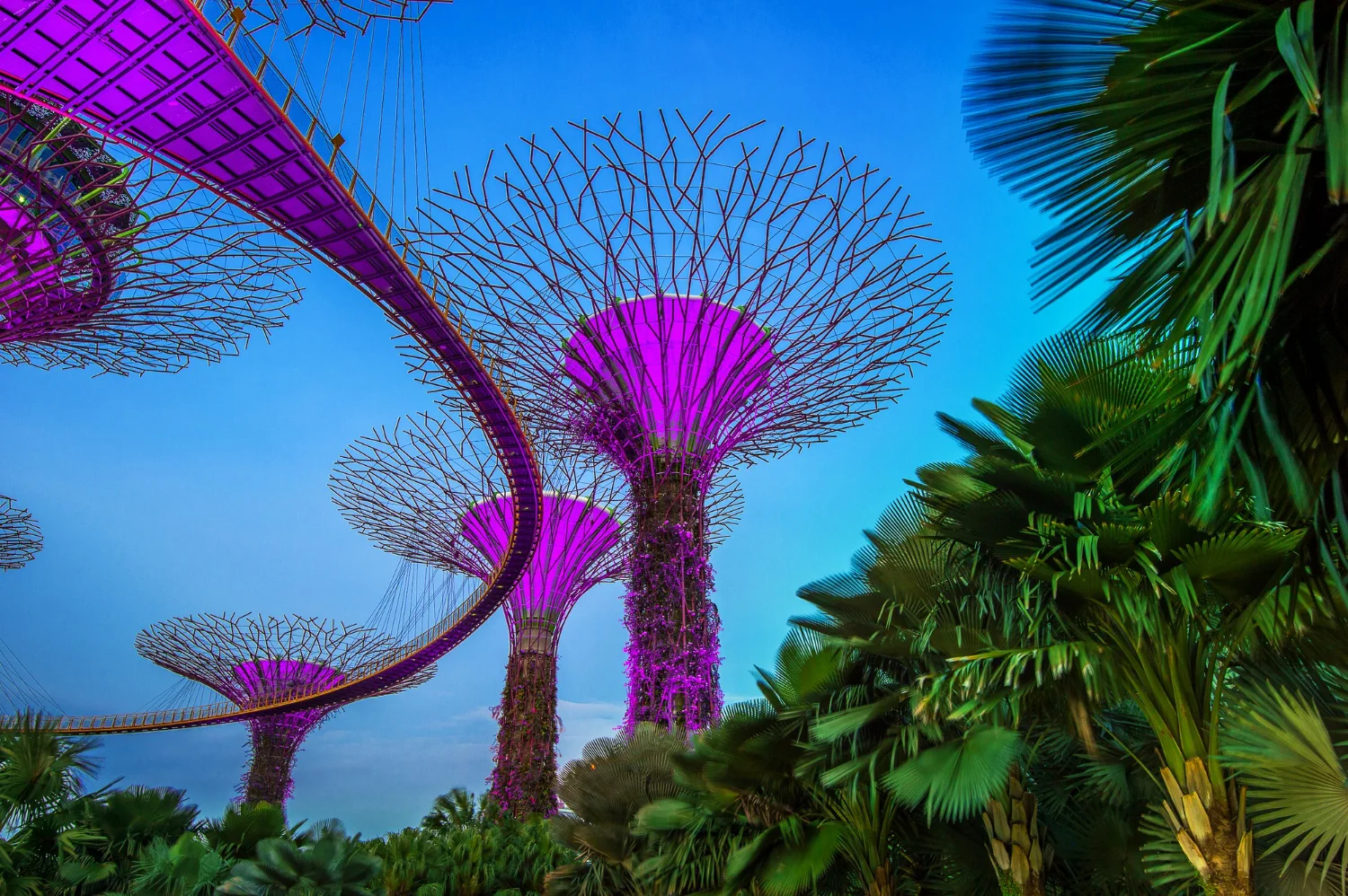 Gardens by the Bay