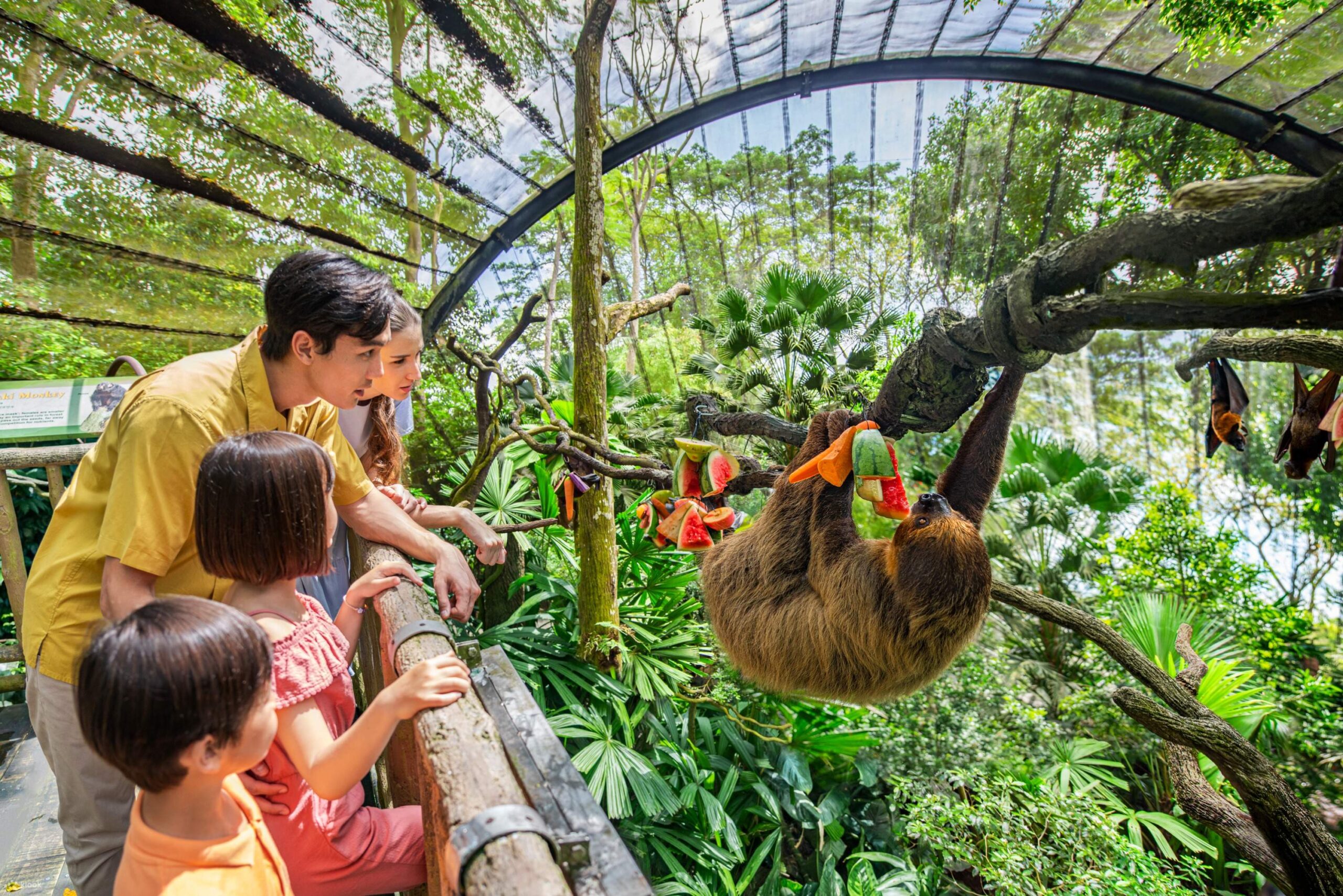 Singapore Zoo